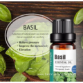 wholesale price CAS8015-73-4 basil ingredient oil for Sale